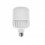 Led T80