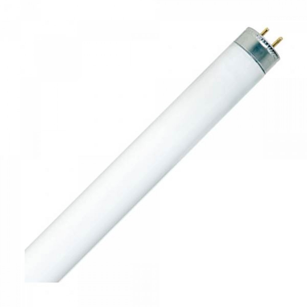 Fluorescent 10W/05 T8 G13 33cm insects