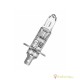 Osram 12V 55W P14.5s H1 +15% warm white 3200K Original Line 64150