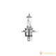 Osram 12V 35W PX43t H4 warm white 3200K Original Line 64185