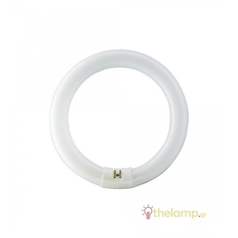 Fluorescent 22W/865 T9 G10Q day light 6500K circular Osram