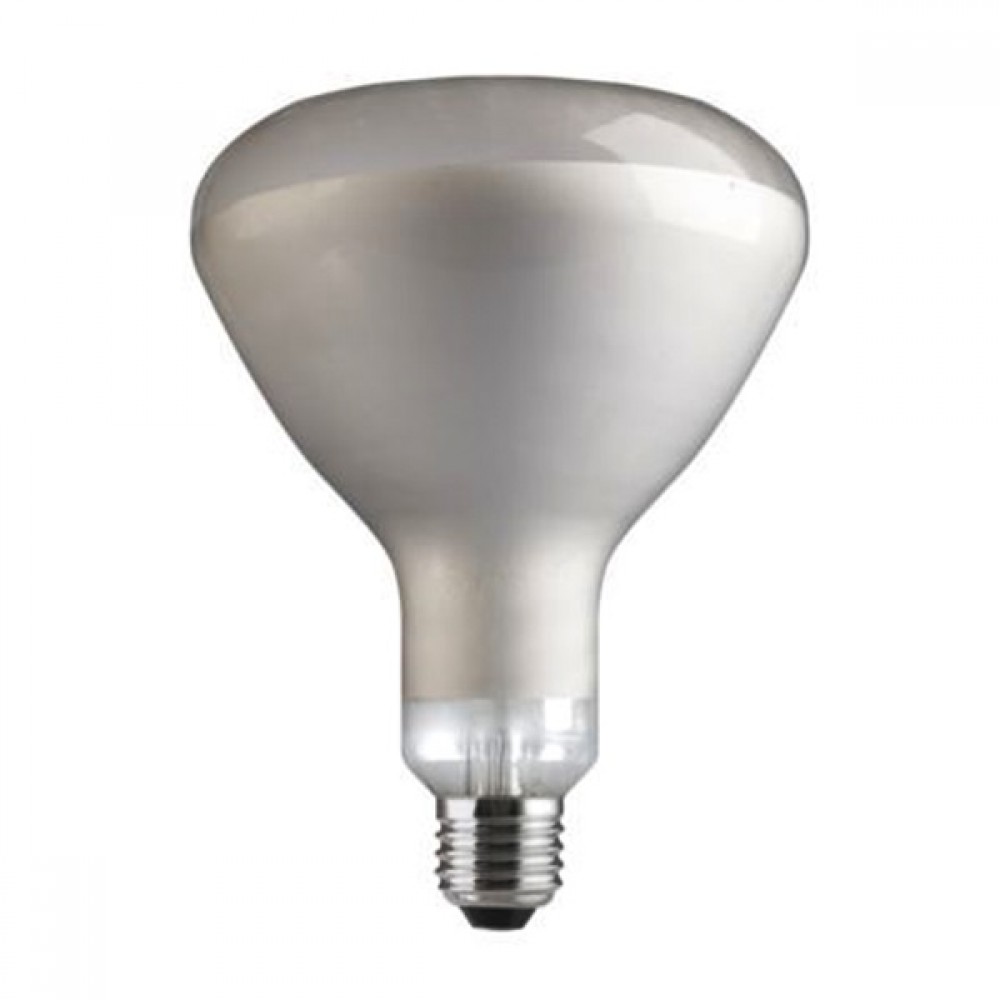 230V E27 250W clear 28724 General Electric