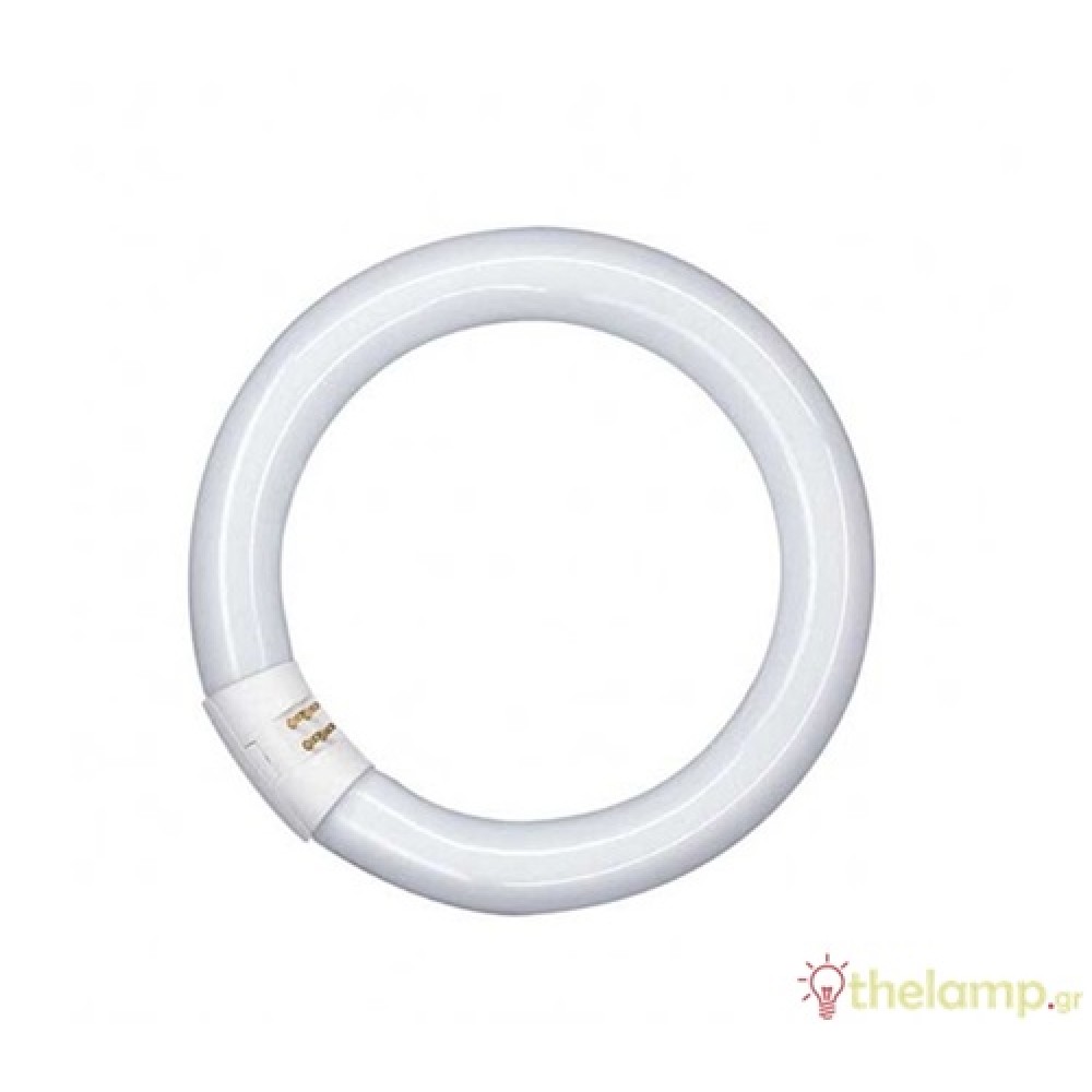 Fluorescent 32W T9 G10Q day light 6500K circular Econ