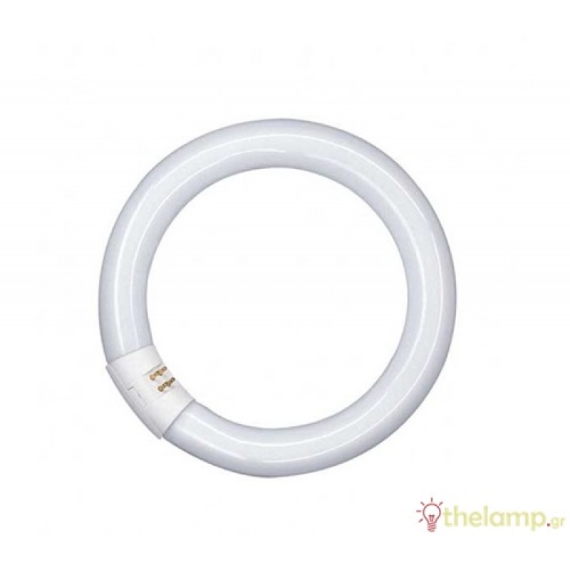 Φθόριο 32W T9 G10Q day light 6500K κυκλική Econ