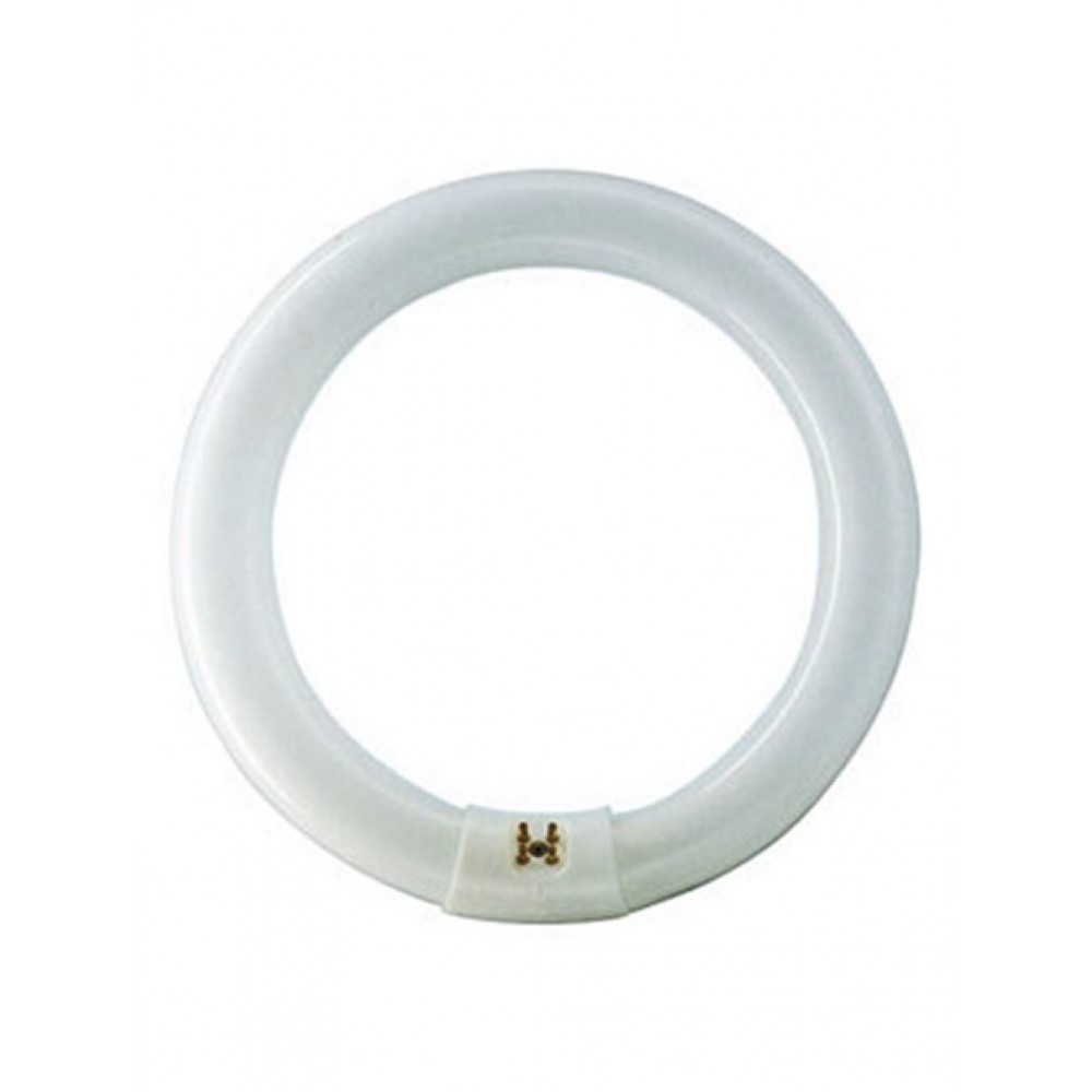 Φθόριο 32W/865 T9 G10Q day light 6500K κυκλική Philips