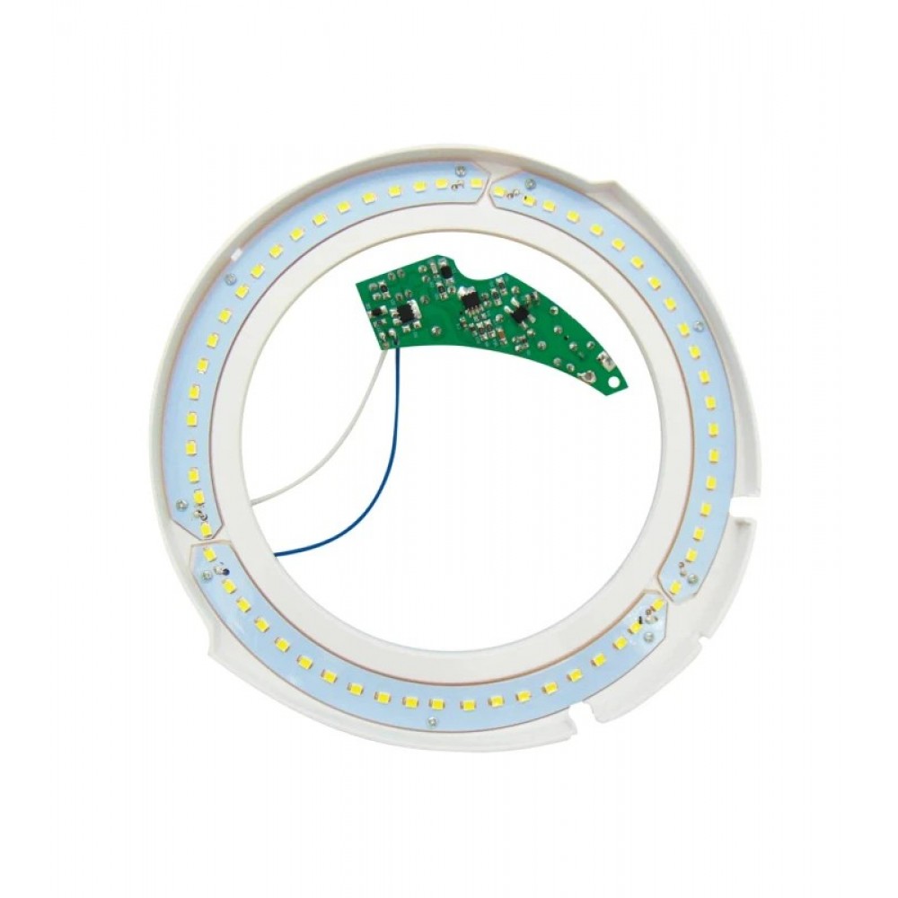 Fluorescent 22W T4 220-240V day light 6500K circular BOYUAN