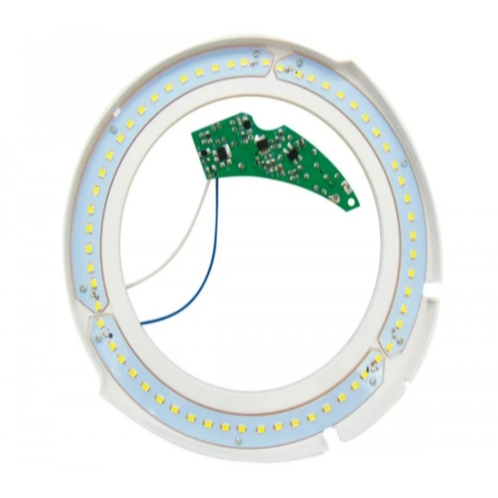 Fluorescent 22W T4 220-240V day light 6500K circular BOYUAN