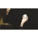 Dimmer 1 channel for led strips HB80-1Dim Hoblo 80 Nexta Tech