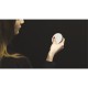 Dimmer 1 channel for led strips RGB HB80-1C Hoblo 80 Nexta Tech
