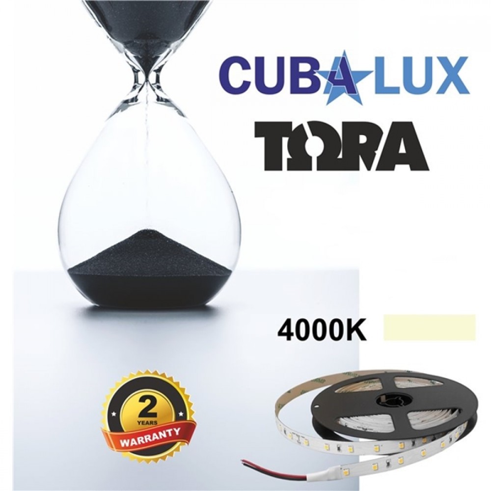 Led ταινία 24V 12W 60led cool white 4000K με αυτοκόλλητο TΩRA IP20 Cuba Lux