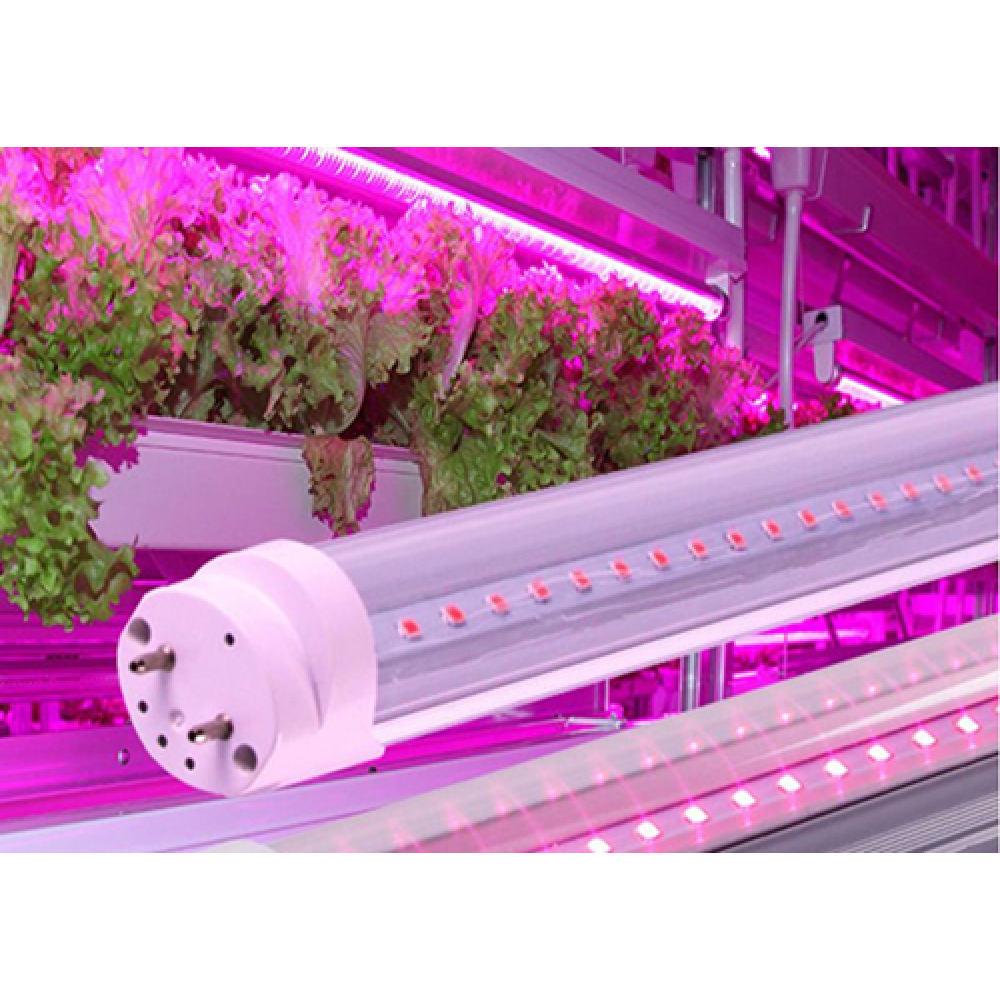 Tubo LED T8 18W, 120cm, PLANT GROW Full Spectrum, Crecimiento de