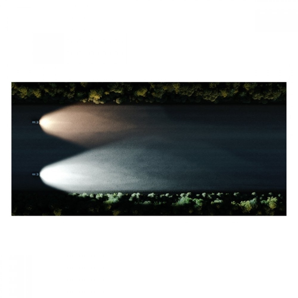 Osram Led 12/24V 14W P22d HB4 day light 6000K LEDriving HL Gen2 DUO BOX 9736CW