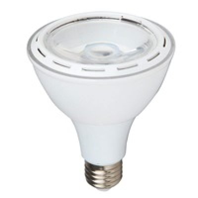 Led PAR30