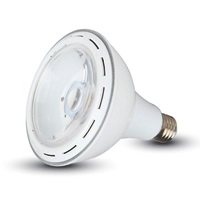 Led PAR38