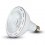 Led PAR38